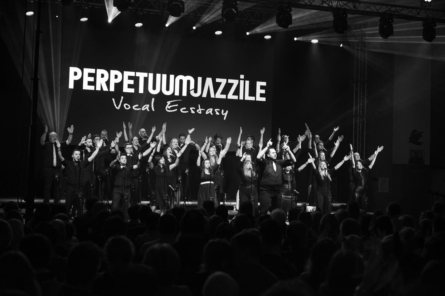 perpetuum-jazzile